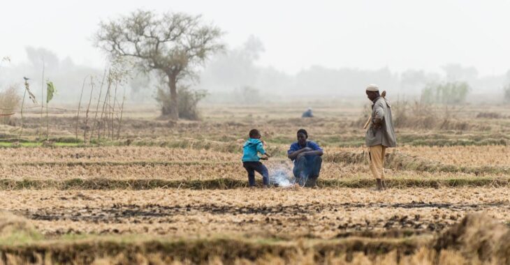 A Dédoudou, les producteurs sont prêts pour les premiers semis