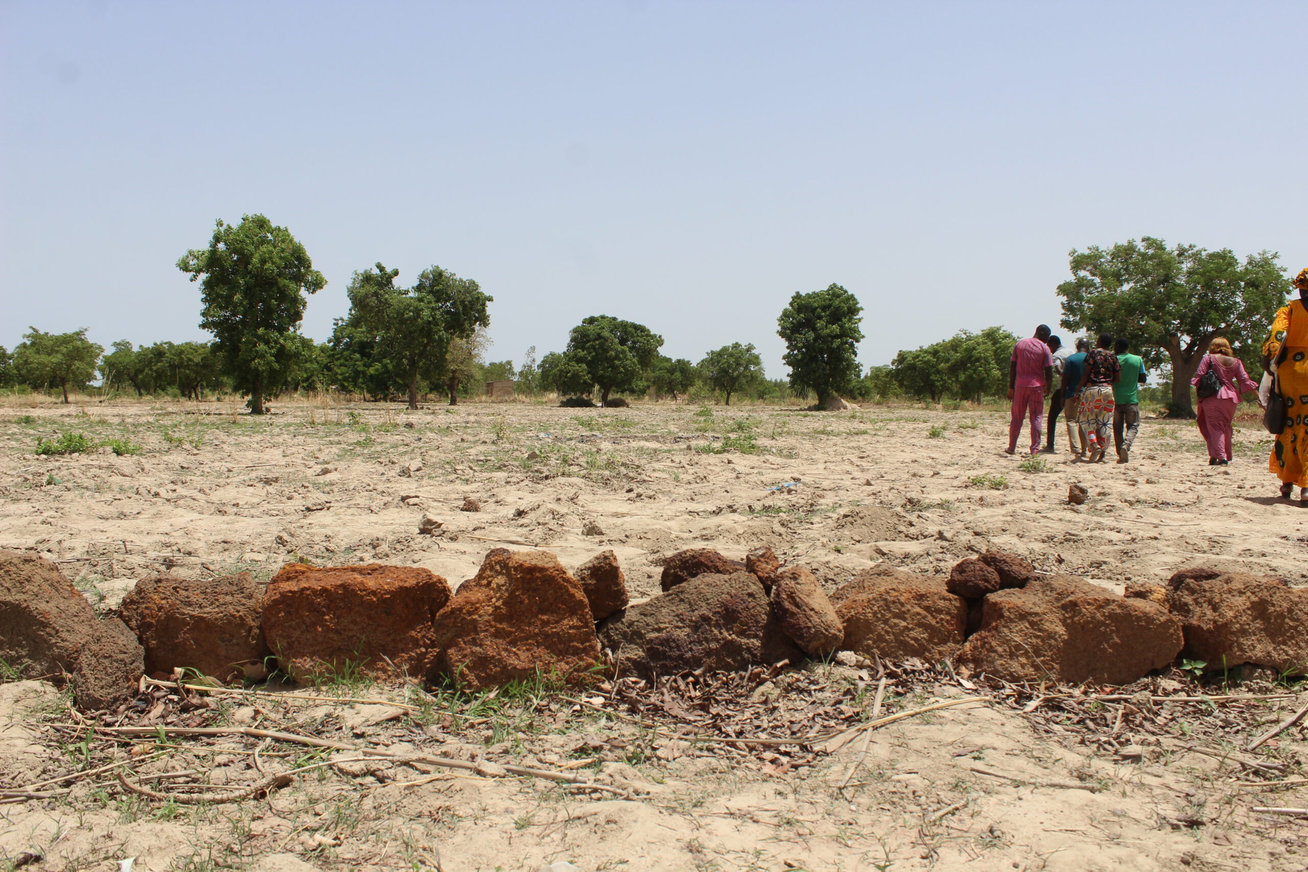 L&rsquo;agroécologie, une réponse au changement climatique au Burkina Faso