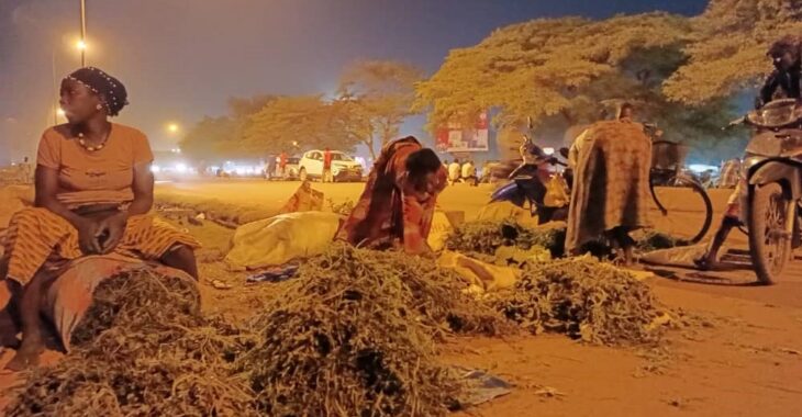 Aliment pour bétail : à Ouaga, un marché nocturne animé par des femmes