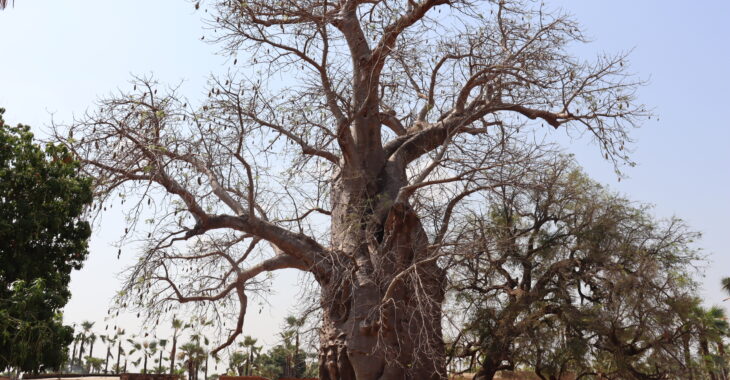 A Kaya, la parenté à plaisanterie, un lien social entre déplacés et populations hôtes