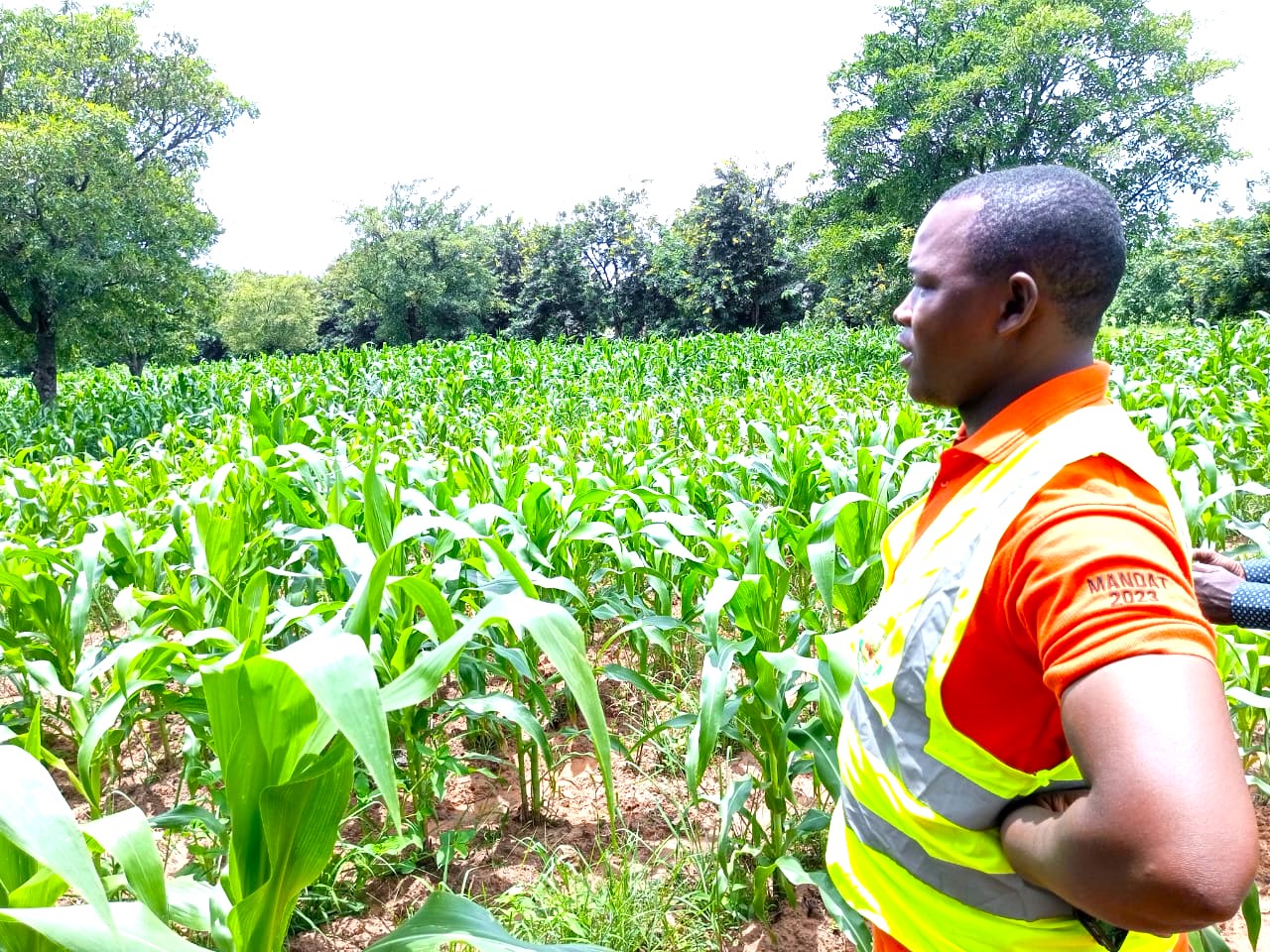 Ali Ouattara, ce diplômé qui est retourné à la terre