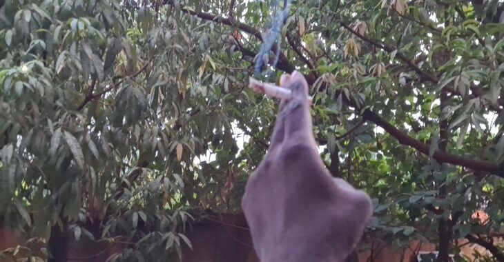 Ce qui pousse à fumer la cigarette, boire le café, l’alcool…