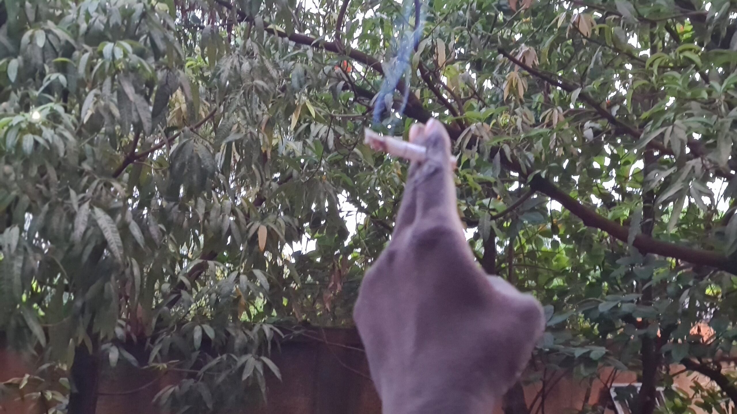 Ce qui pousse à fumer la cigarette, boire le café, l’alcool…