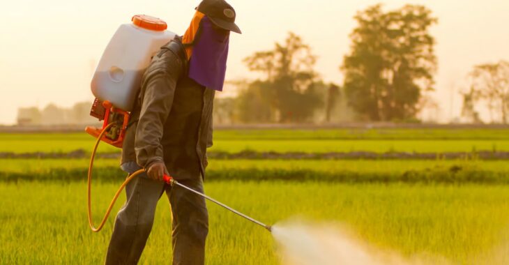 Les pesticides, un danger pour la santé et l’environnement