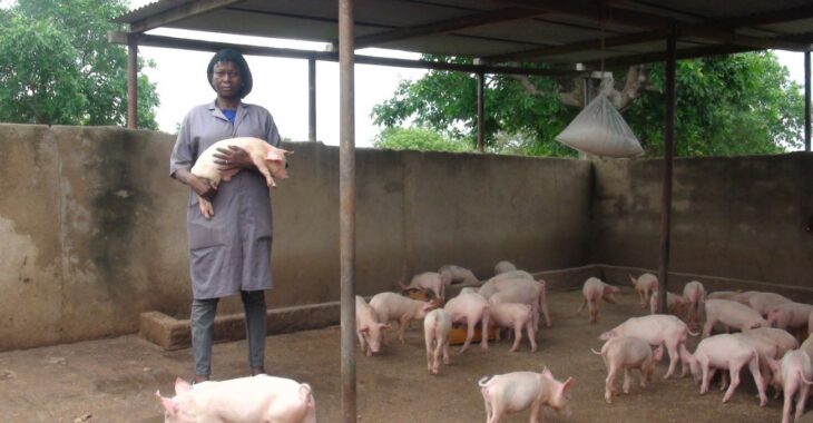 Habibou Sawadogo, celle qui a tout parié sur sa porcherie