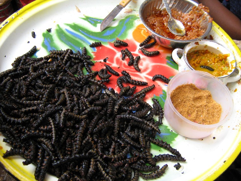 Bobo Dioulasso: comment le chitoumou fait vivre les femmes