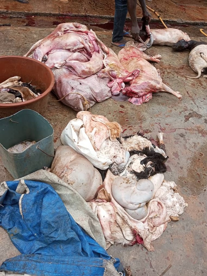 Burkina: La police municipale saisit des carcasses d&rsquo;animaux clandestinement abattus