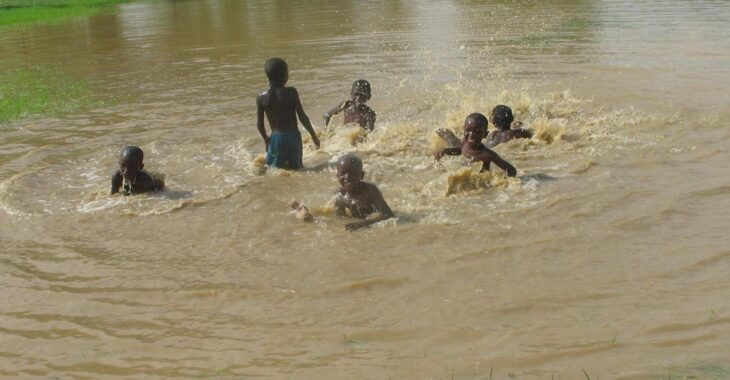 La bilharziose ou schistosomiase