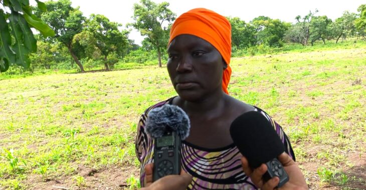 Burkina: Alizèta Rouamba, l'agro business woman qui pèse 50 millions de FCFA sur ses 20 hectares