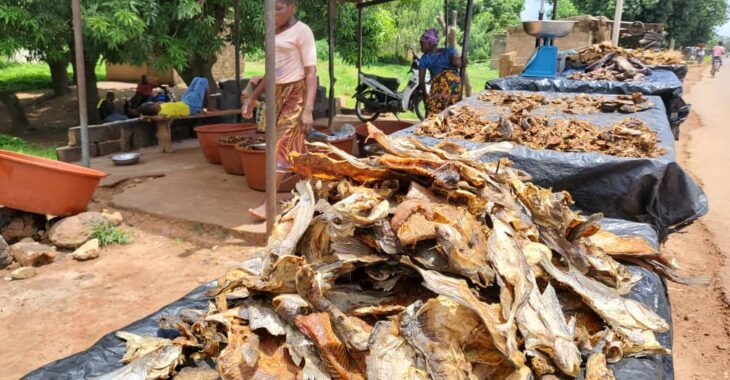 Adja Sanou, la reine du poisson d'eau douce à Bama