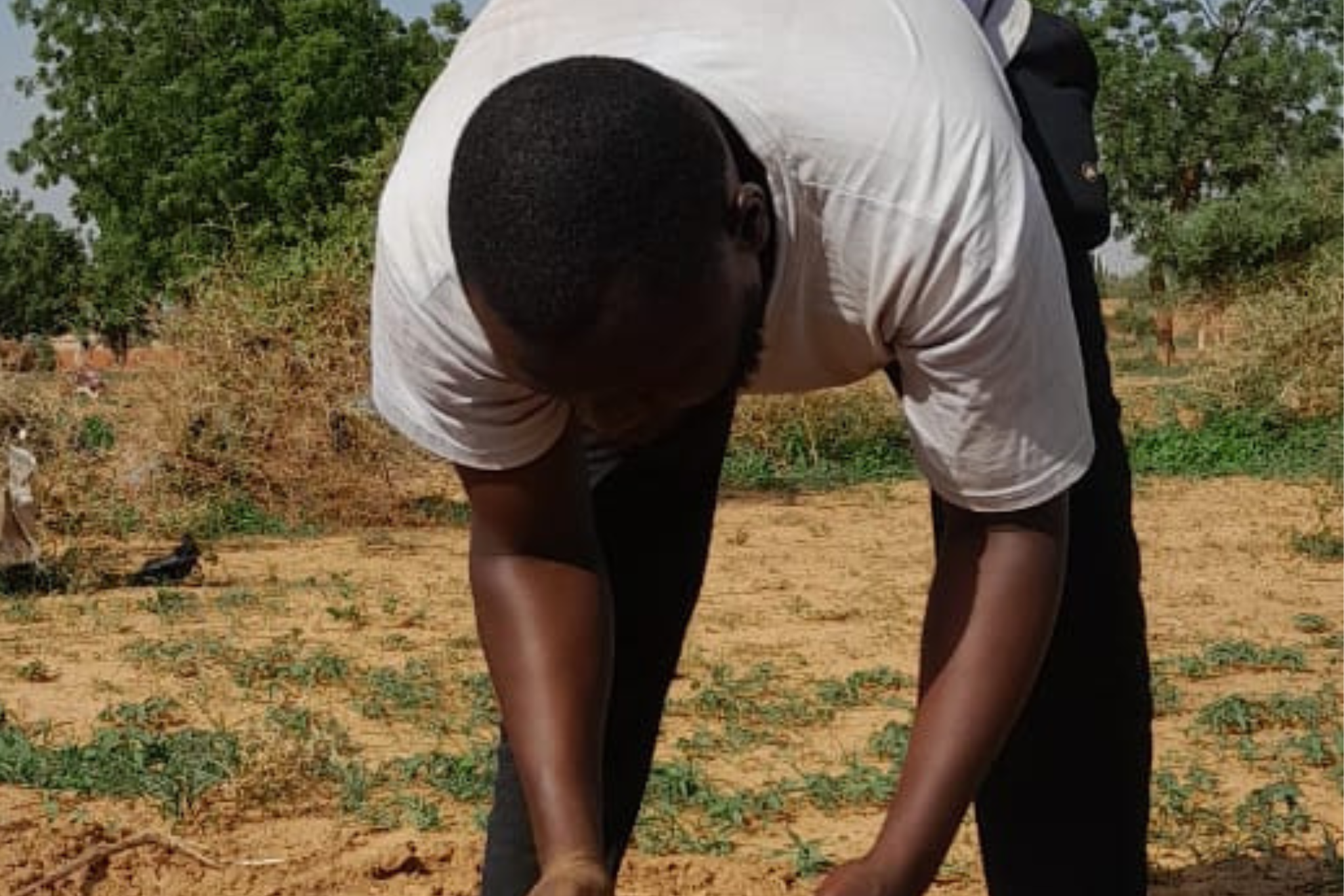 Des étudiants cultivateurs à la cité universitaire de Kossodo