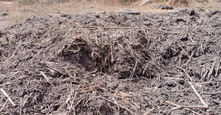 Tout savoir sur le compost passif