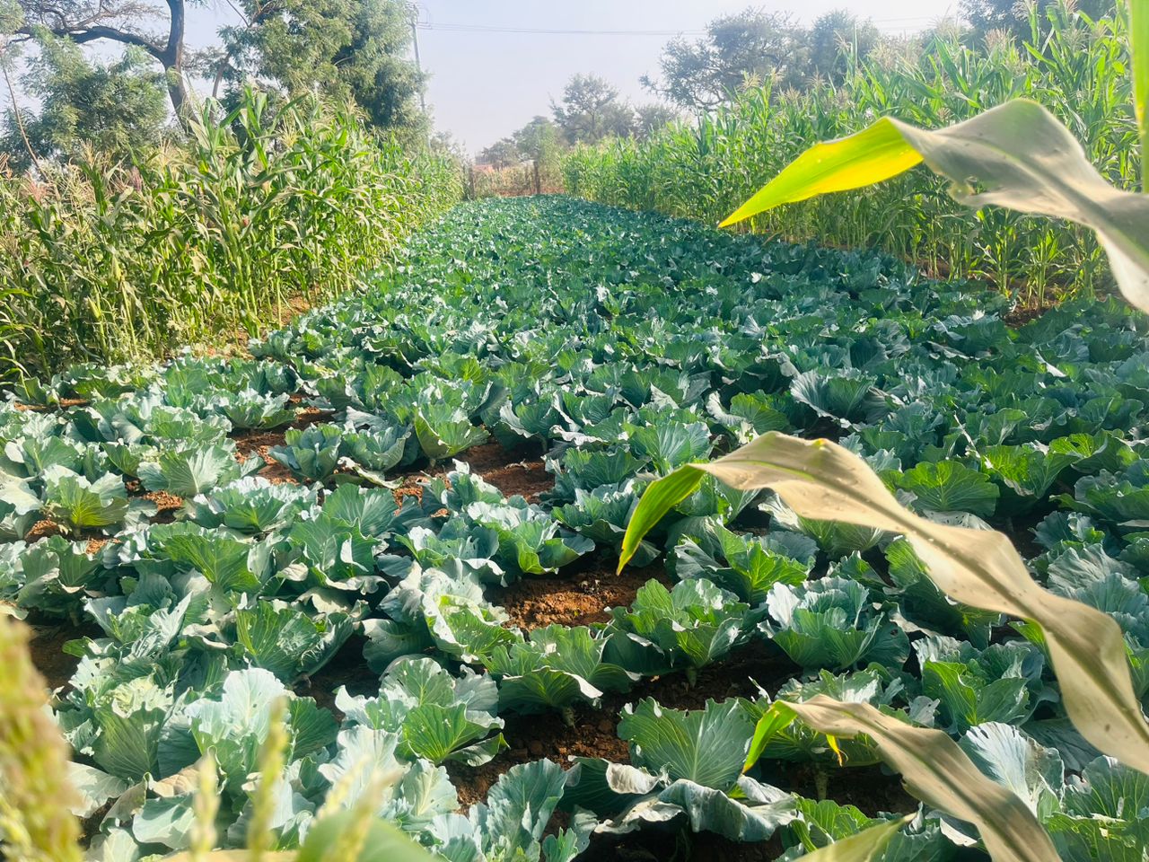 A Kongoussi l&rsquo;association Yaam la tuuma tisse l&rsquo;élan de l&rsquo;espoir en faveur des déplacés