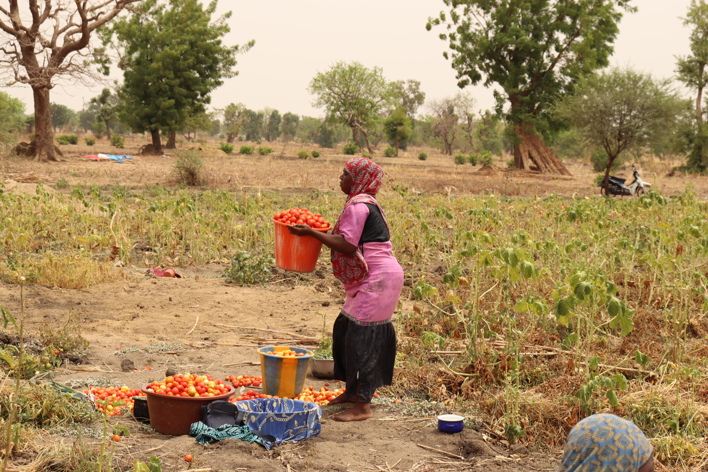 Bagré, terre hospitalière pour des déplacés internes