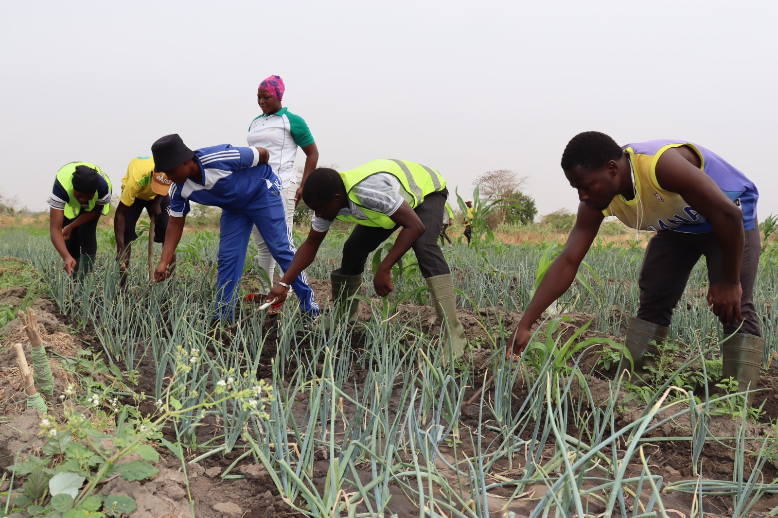 🎧Bagrépôle: un champ d&rsquo;apprentissage pour les étudiants en agro-sylvo-pastorale