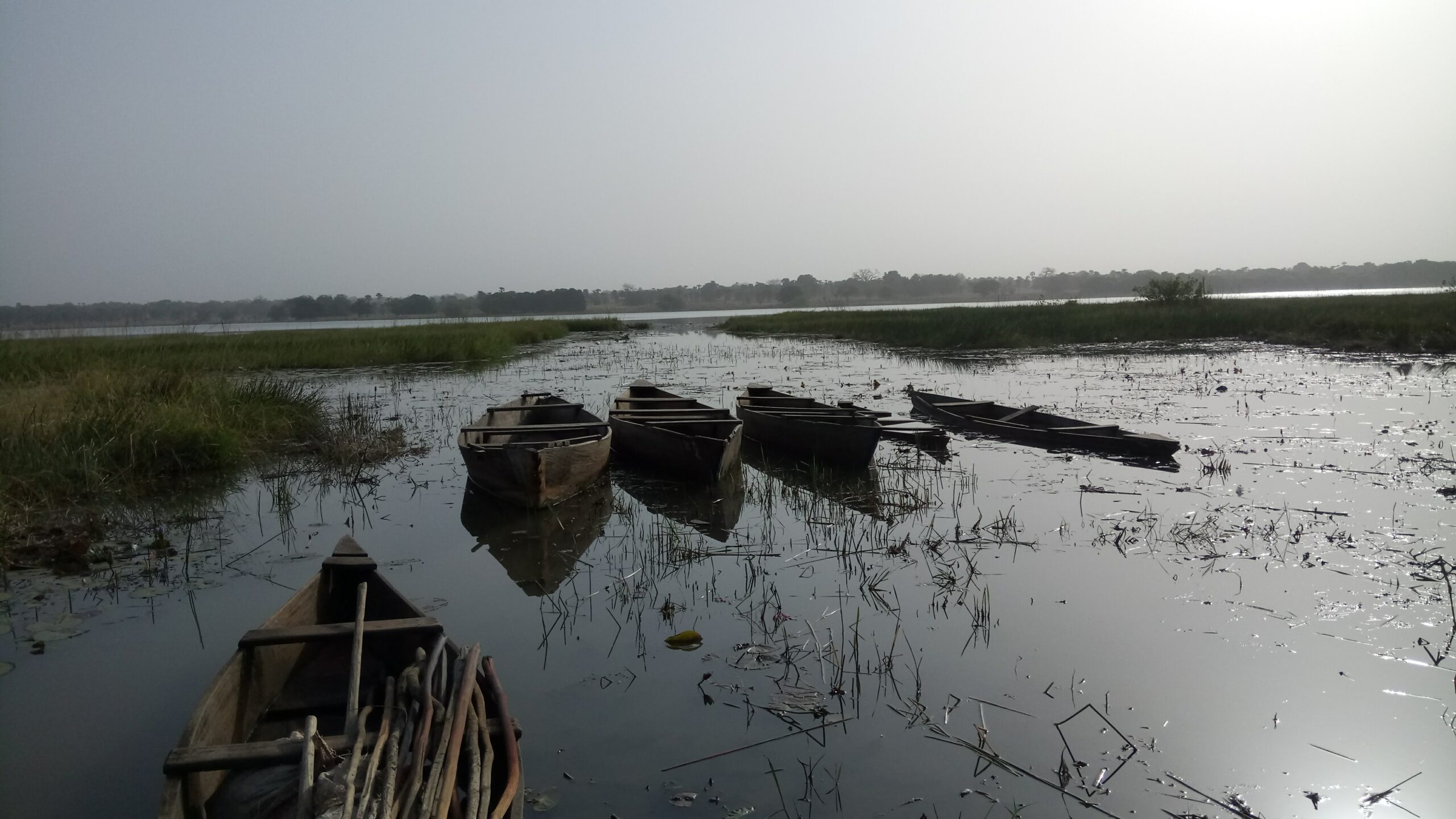 Biodiversité : des enjeux capitaux pour le Burkina Faso