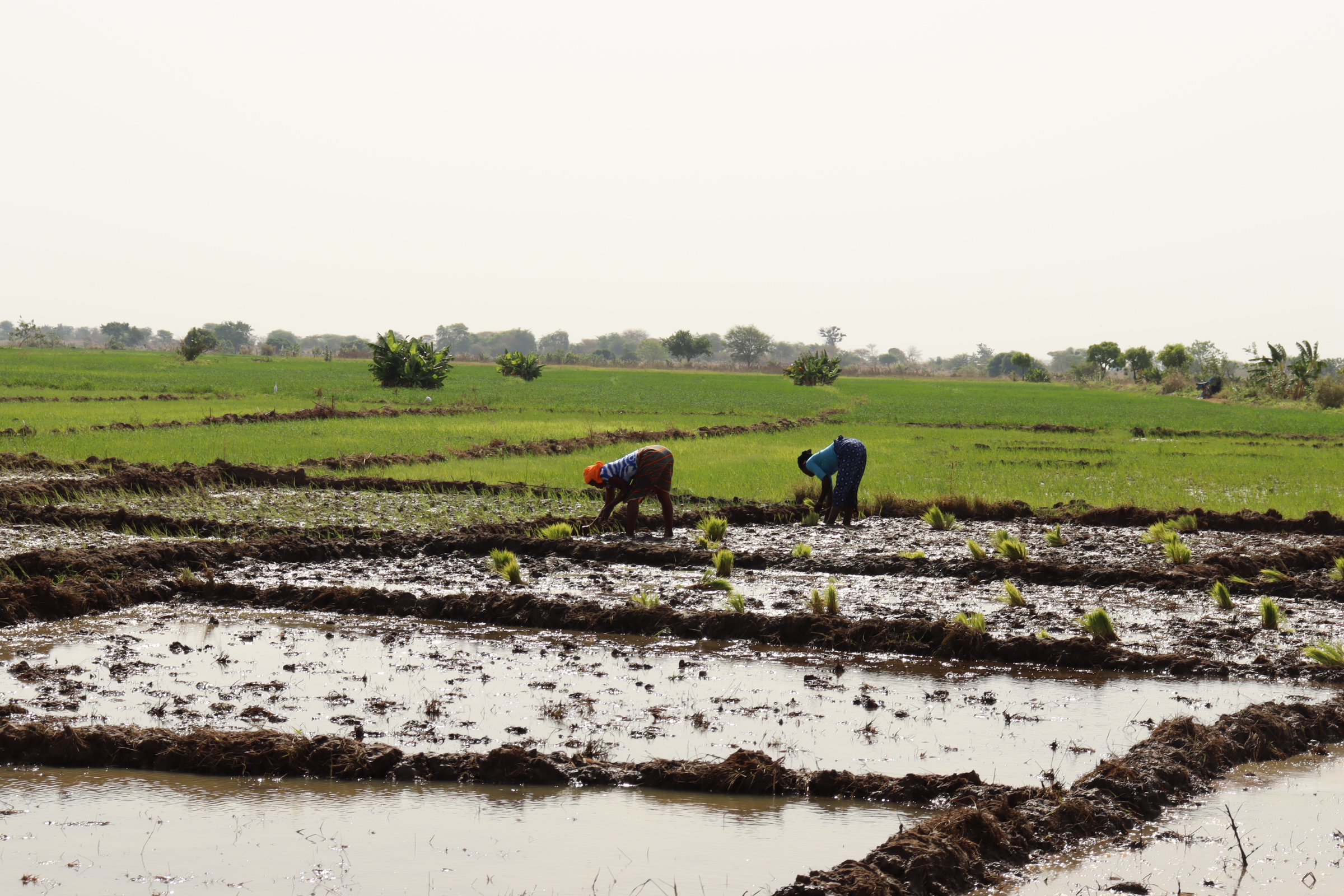 Burkina : Bagrépôle, en quête d’un nouveau souffle avec une offensive