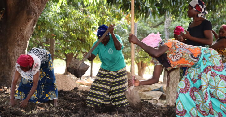 Burkina: A Banfora, des productrices agricoles tournent dos aux engrais chimiques