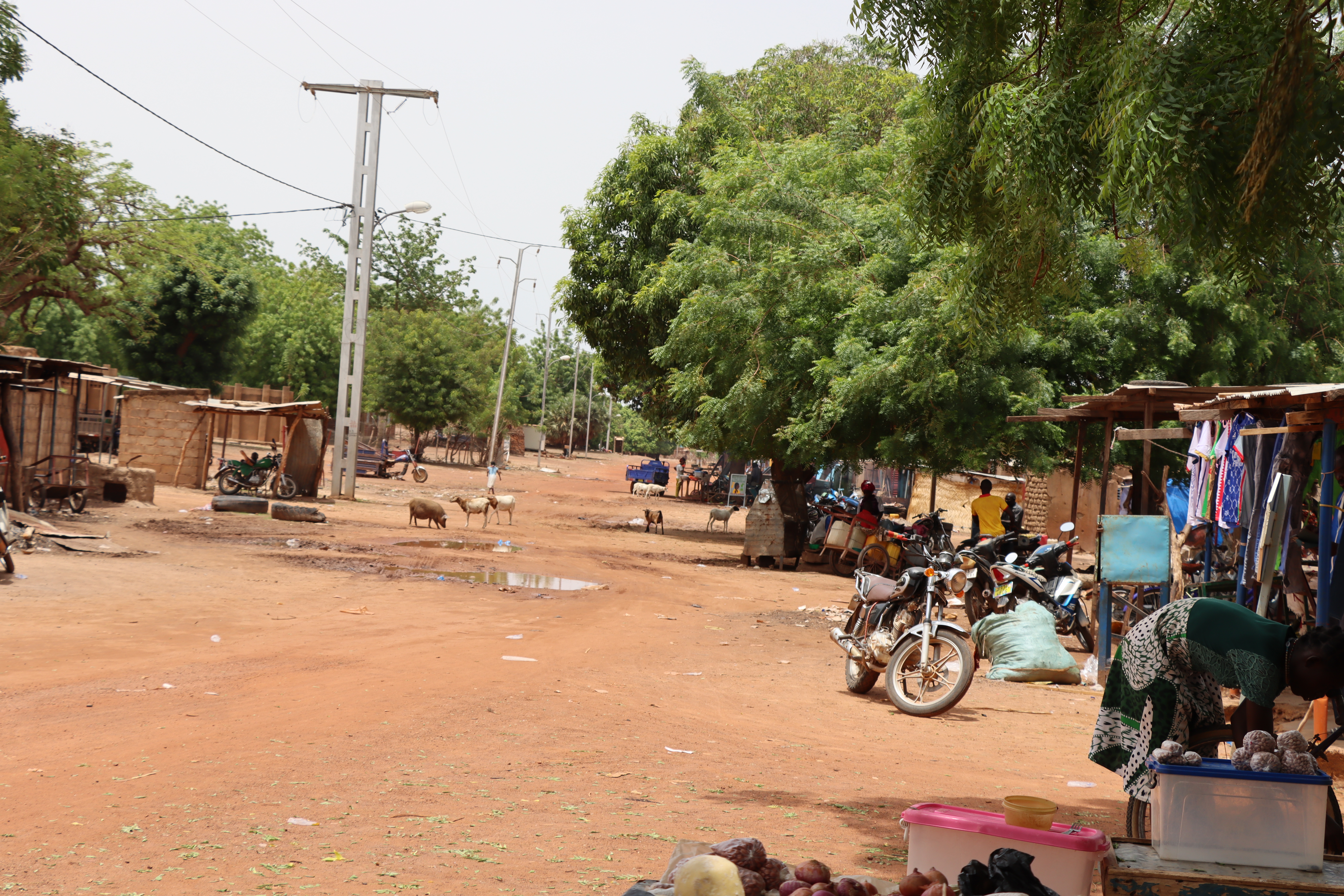 Burkina Faso : Dassa, la commune résiliente