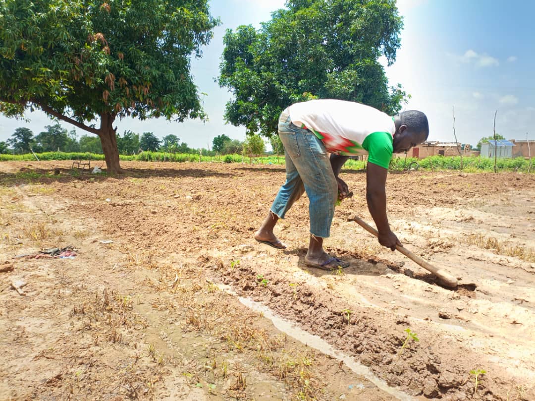 Amidou Nikièma, le promoteur de l&rsquo;agriculture biologique