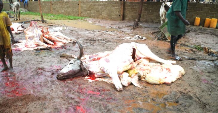 Abattage clandestin d'animaux: immersion dans les abattoirs de fortune de Ouaga