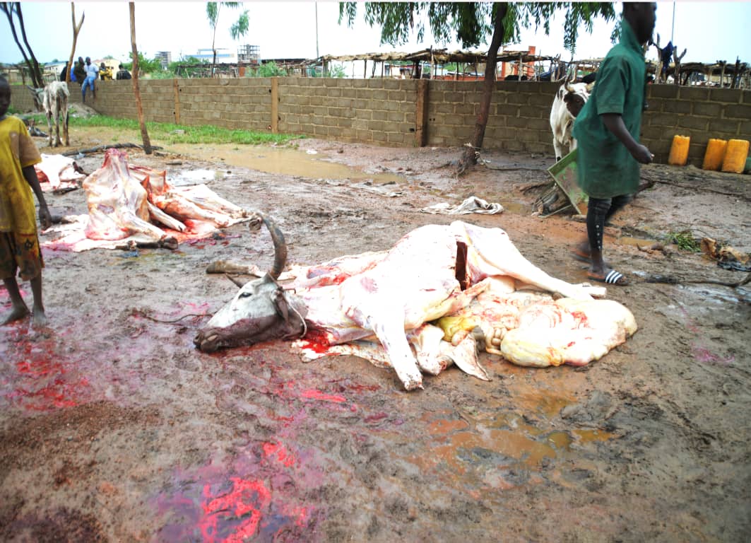 Abattage clandestin d&rsquo;animaux: immersion dans les abattoirs de fortune de Ouaga