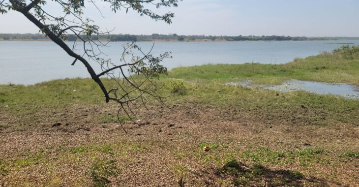 Au Burkina, le cri de détresse du lac Tingréla