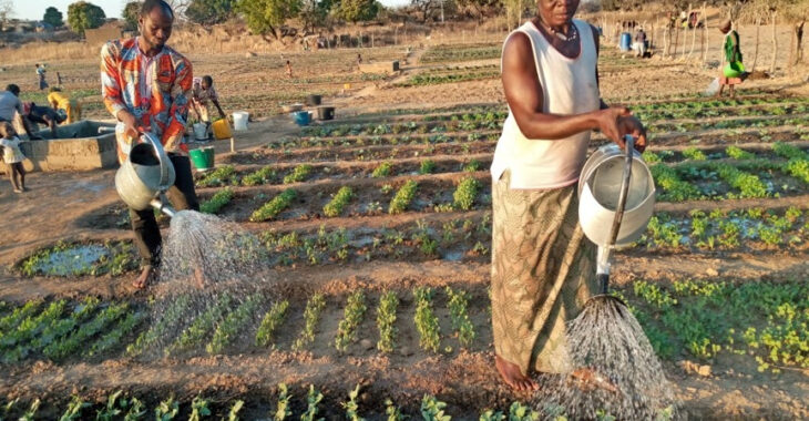 La dignité préservée dans les travaux de jardinage