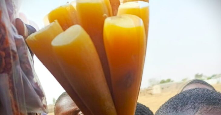 Le tubercule komboula, un petit plaisir sucré