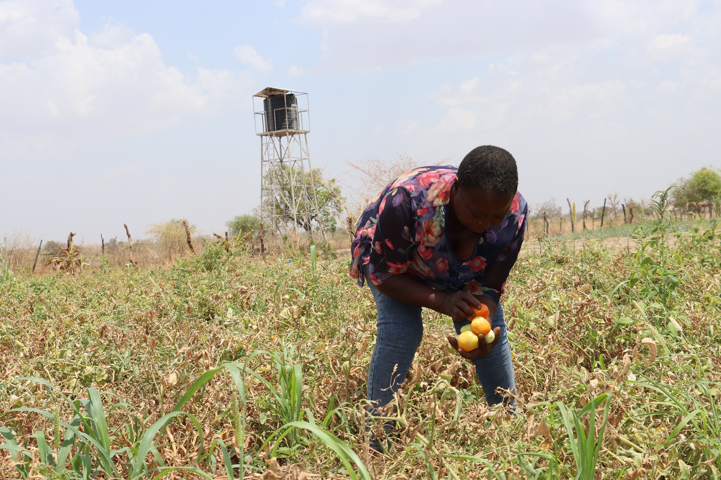 Béatrice Bouda, revenir de Russie et d’Allemagne et prendre sa place dans la chaine sociale à Manga