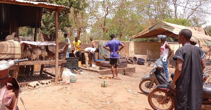 A Bobo Dioulasso, le ras-le-bol des habitants face aux odeurs des abattoirs