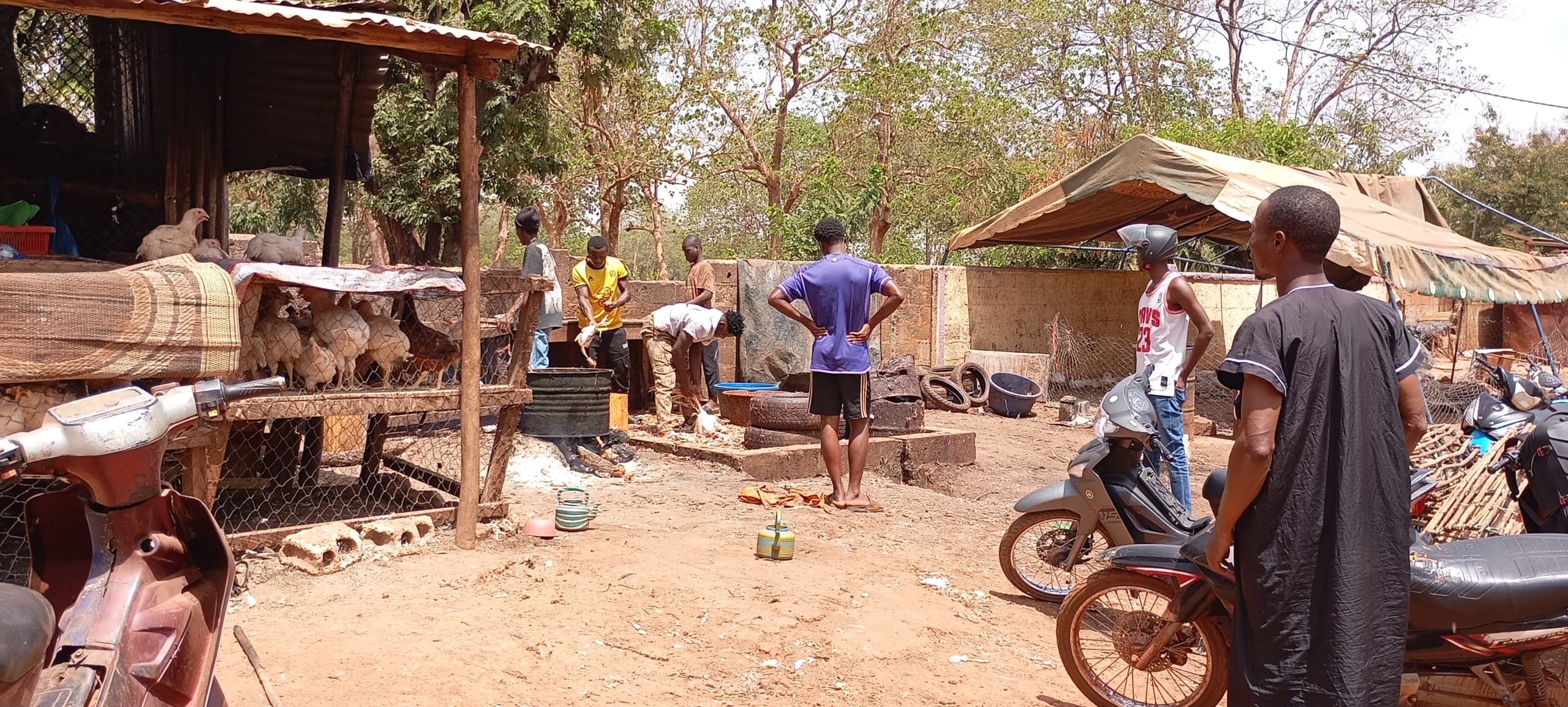 A Bobo Dioulasso, le ras-le-bol des habitants face aux odeurs des abattoirs