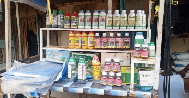 A Bobo Dioulasso, la dépendance aux intrants importés inquiète les producteurs