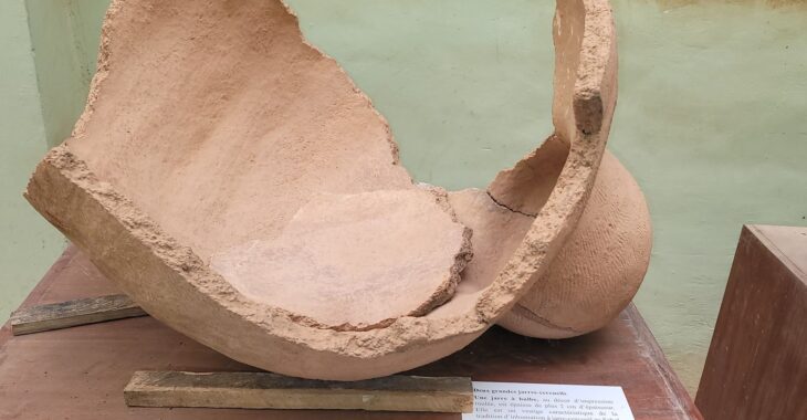 Quand les jeunes creusent le passé pour éclairer l’avenir