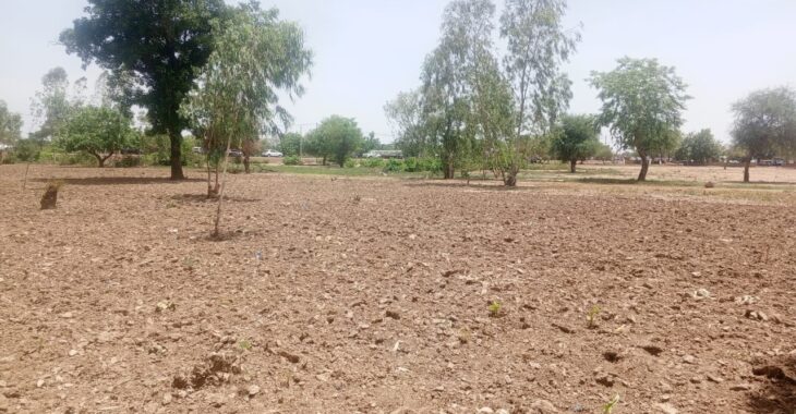 A Dori, les champs restent secs