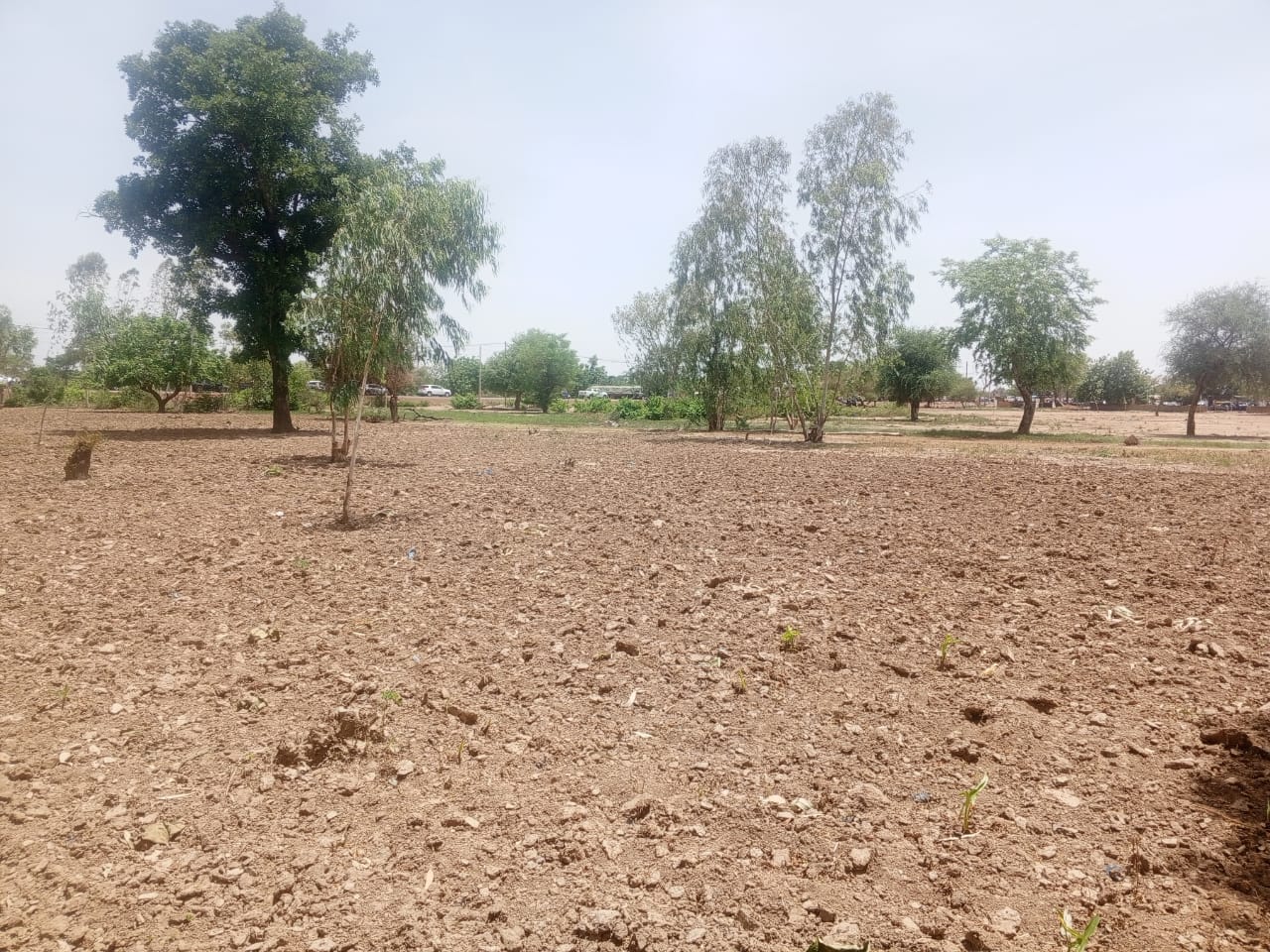 A Dori, les champs restent secs