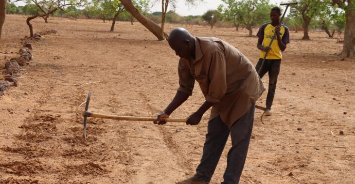 Ouahigouya, terre du zaï, recherche main-d'oeuvre