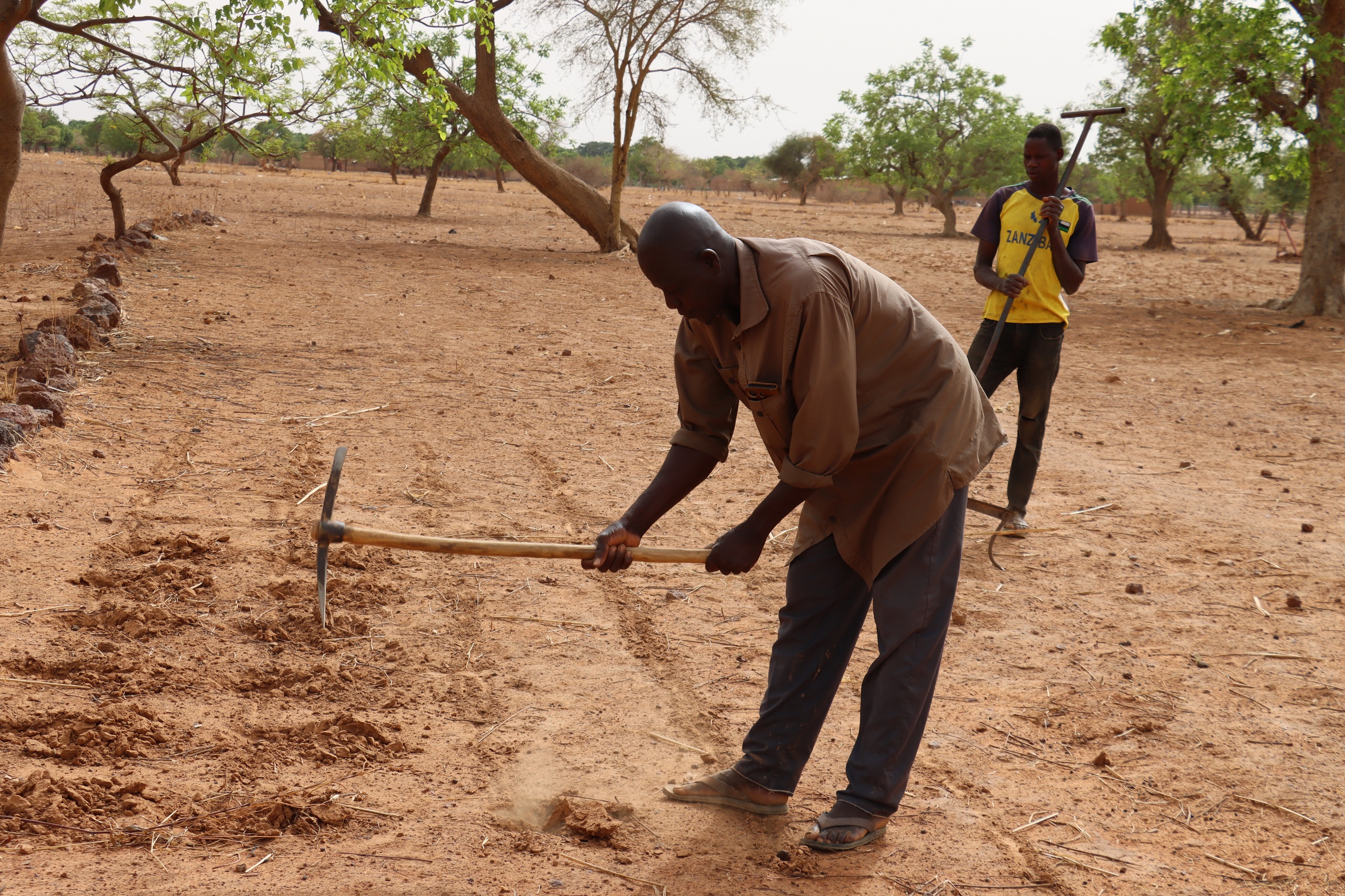 Ouahigouya, terre du zaï, recherche main-d&rsquo;oeuvre