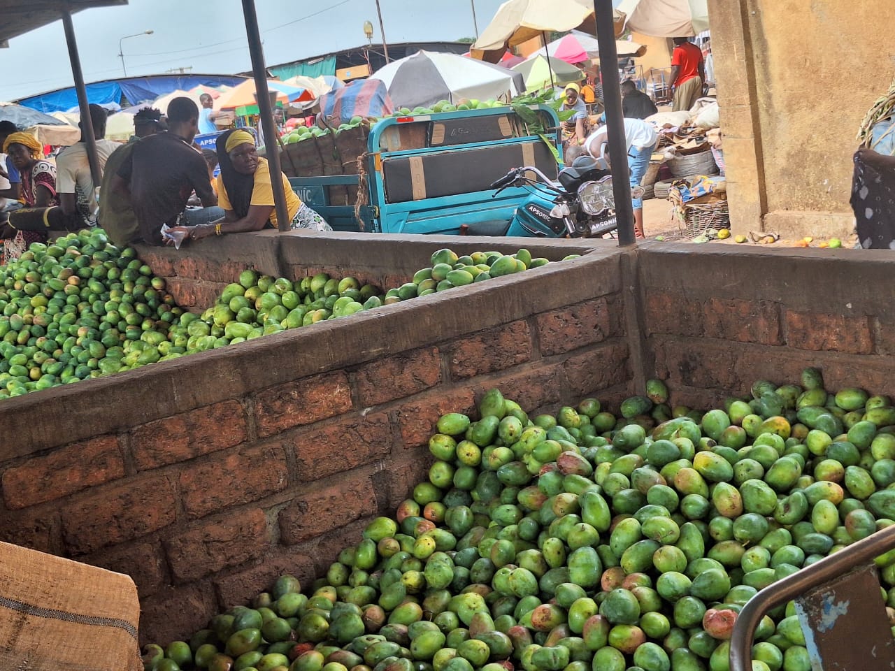 « Quand il y a le carbure dans les mangues, ça dénature le goût »