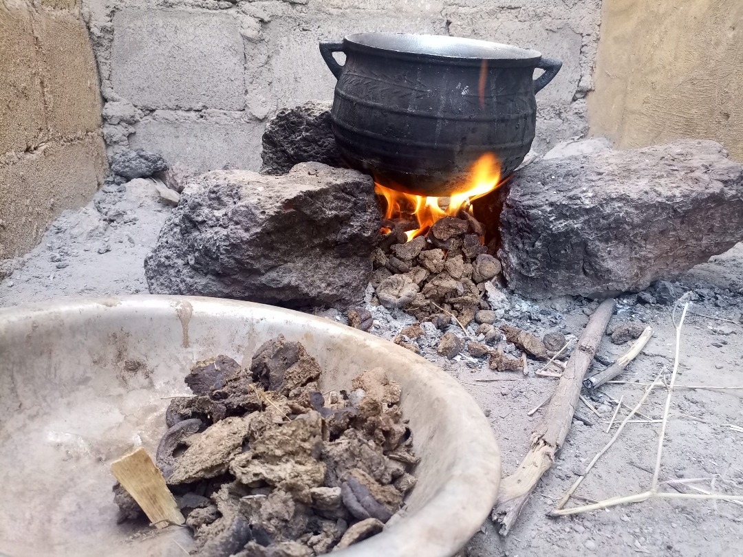 Quand les bouses de vache remplacent le gaz au Burkina