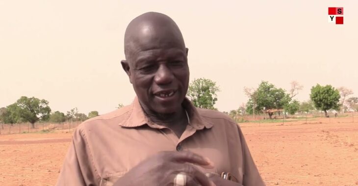 Le zaï, une solution pour la récupération des sols dégradés