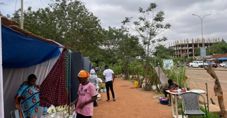 La 7e édition du Salon de l’arbre au cœur de la protection de l’environnement