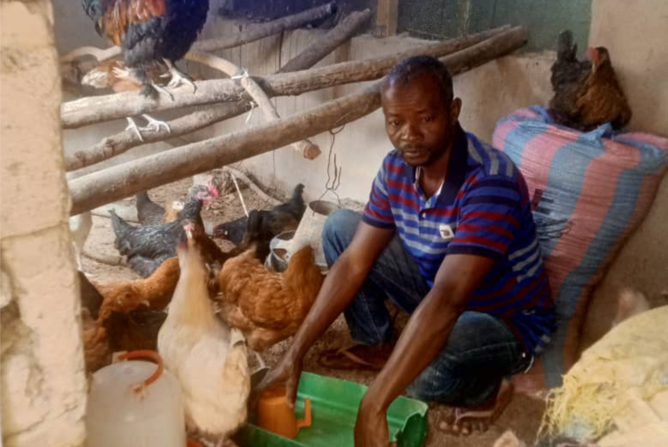 Yaya, un fonctionnaire passionné par l’élevage à Banfora