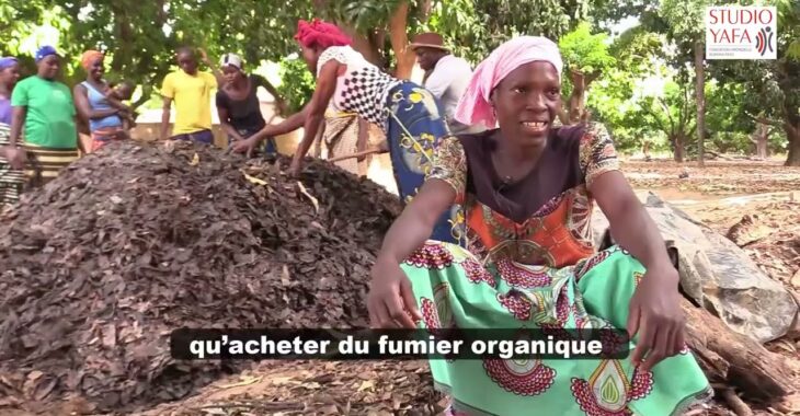Makafa : L’agriculture durable au cœur de Banfora