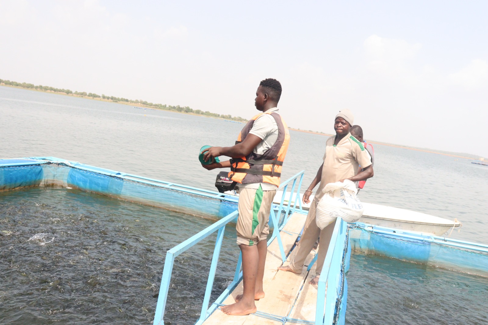 La pisciculture en cage flottante, la solution aux importations massives de poissons