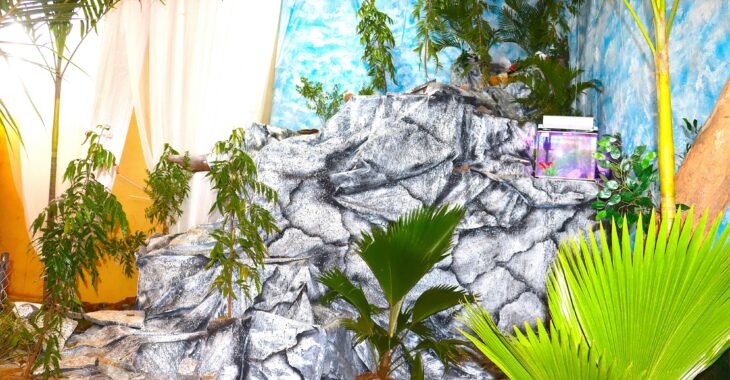 SITHO 2025 : Cascades, marabouts d’Afrique et pélicans, la nature en vedette