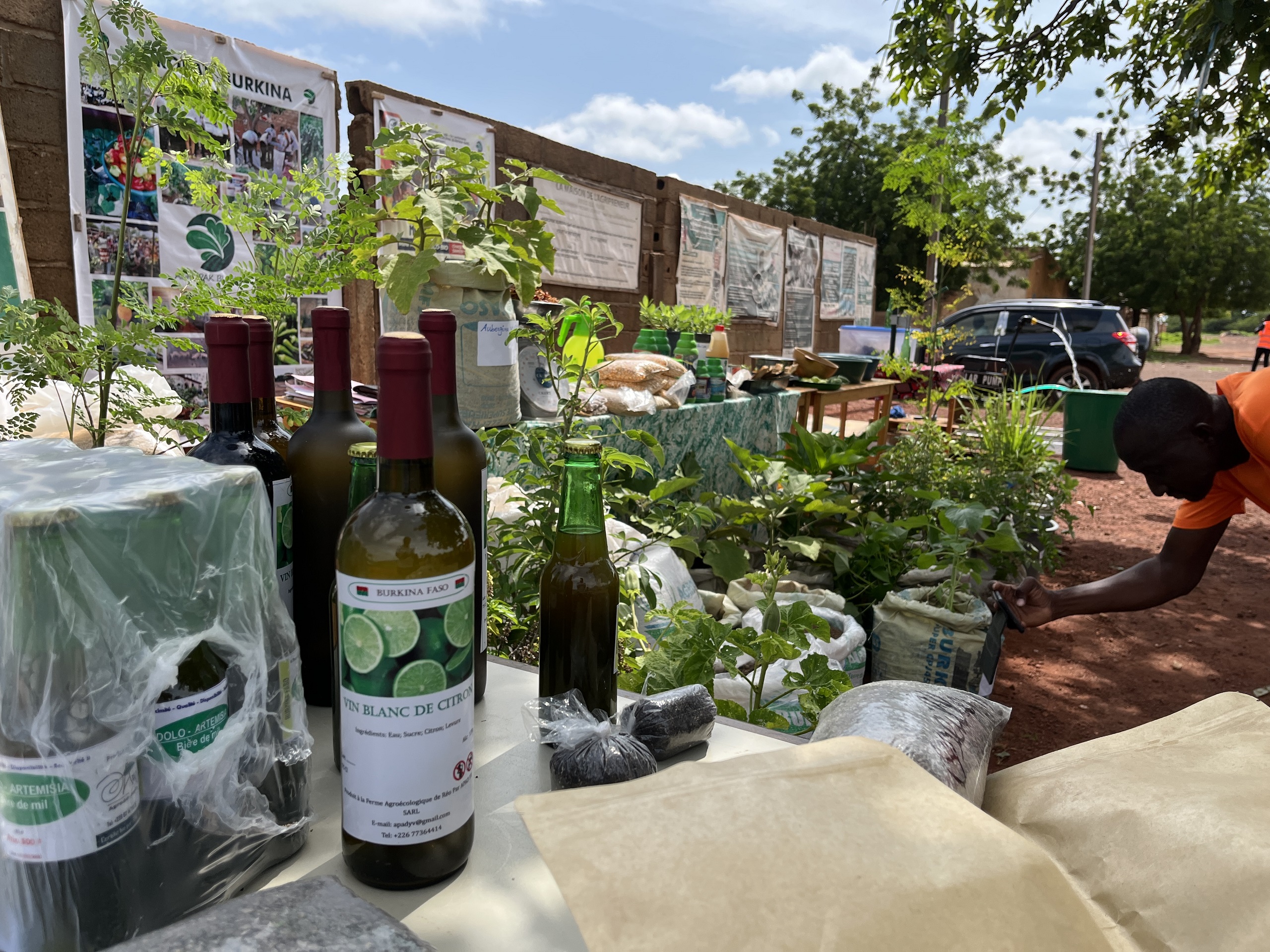 A Koudougou, le bio se fait une place avec le marché « bio ménagère heureuse »