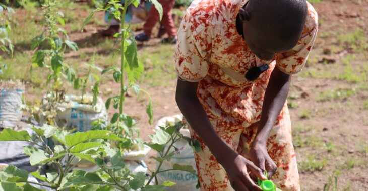 A Koudougou, des enfants passent les vacances les mains dans la terre