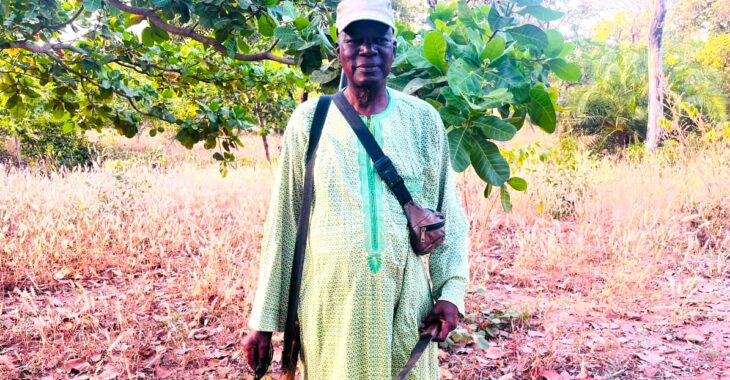 Du micro aux champs, la nouvelle vie d'un retraité à Niangoloko