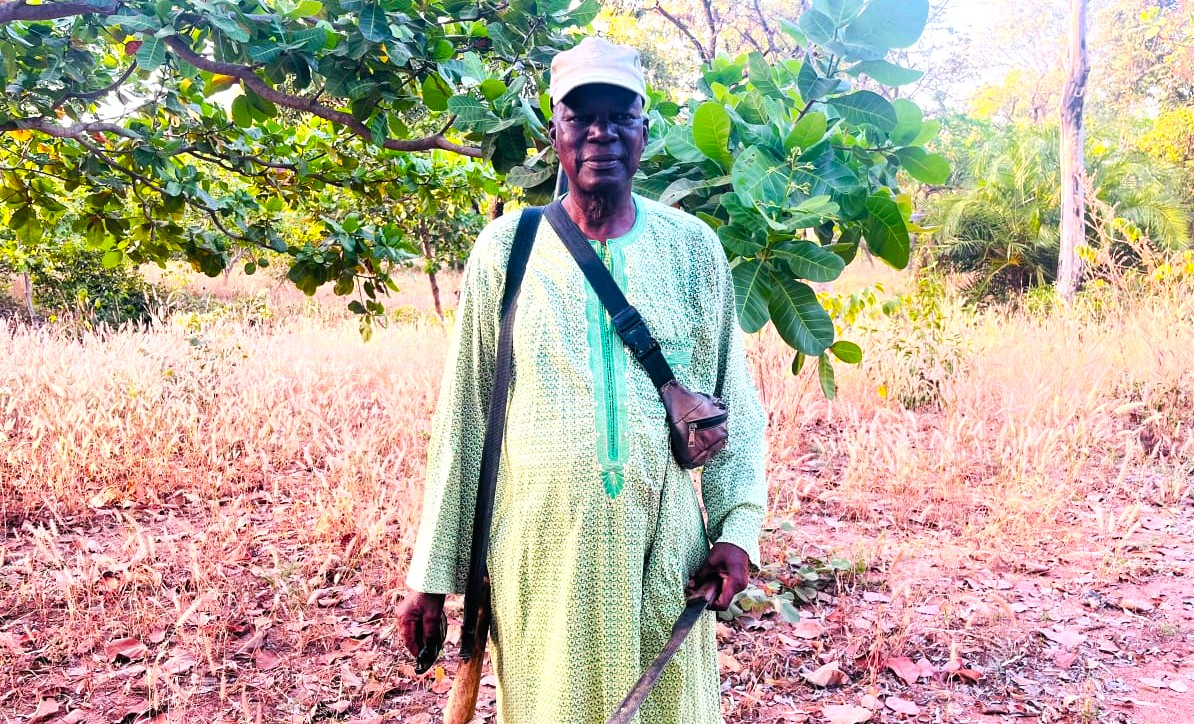 Du micro aux champs, la nouvelle vie d&rsquo;un retraité à Niangoloko